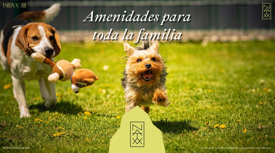 Galería Estela NATIVA