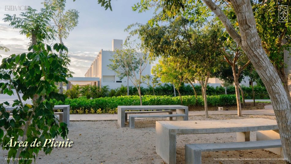 Galería Estela NATIVA