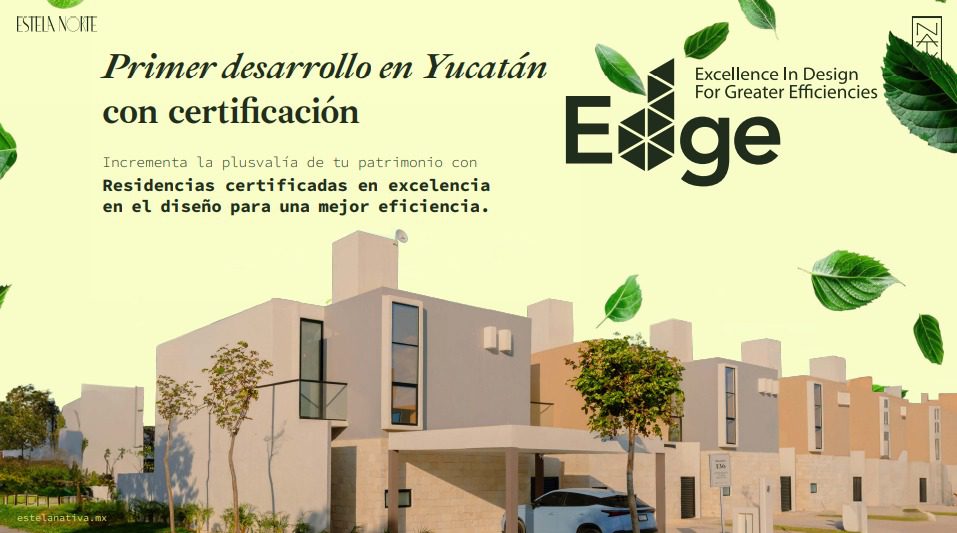 Galería Estela NATIVA