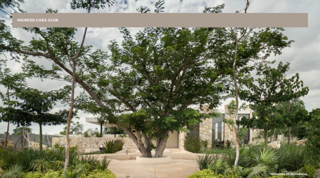 Galería NAIA Residencial