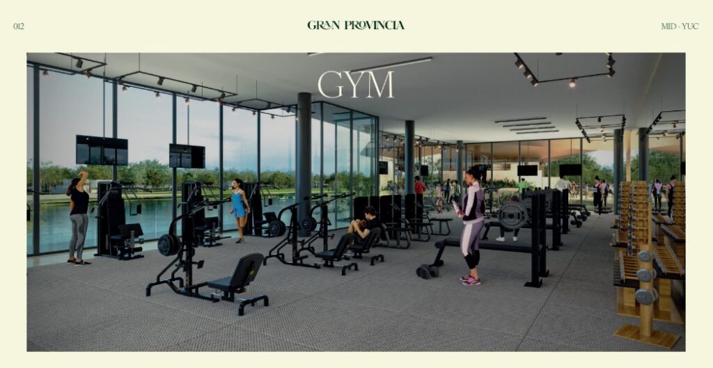 Galería Gran Provincia